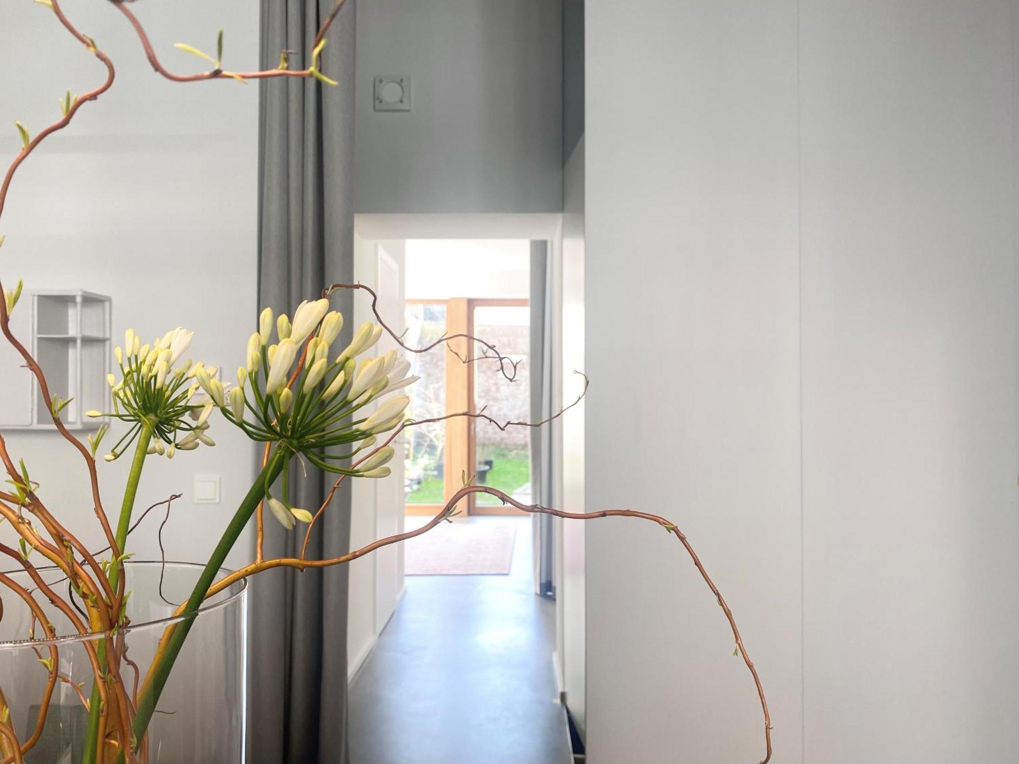 Zehuus Gartenstudio Mit Terrasse Apartament Kolonia