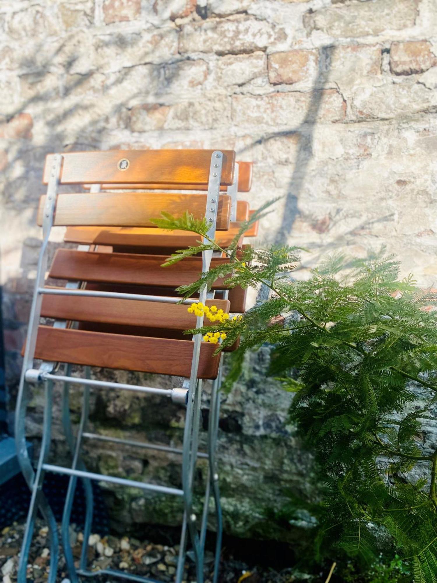 Appartement Zehuus Gartenstudio Mit Terrasse Cologne