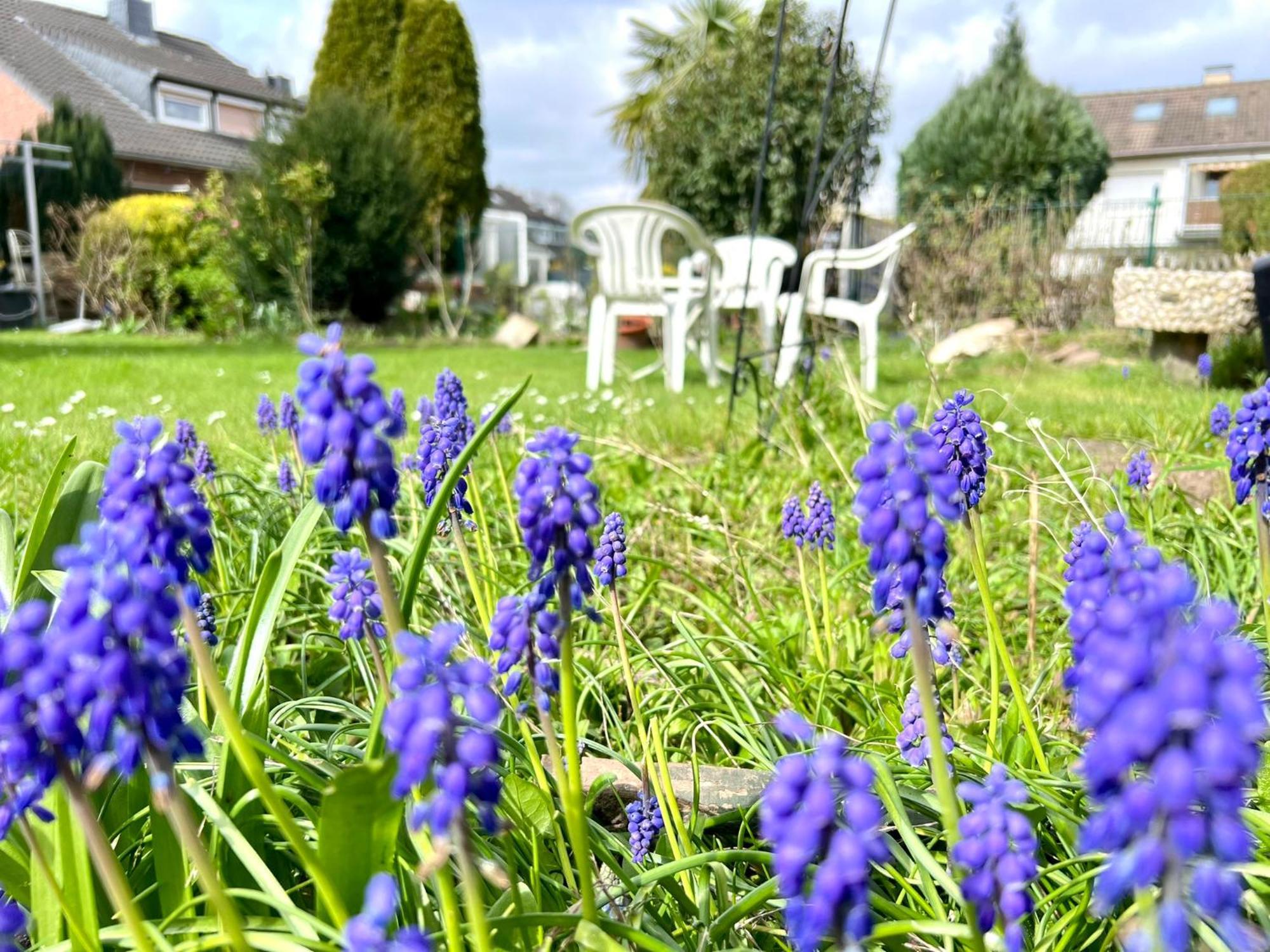 Comfy Mit Garten In Cologne
