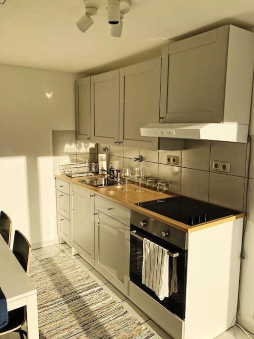 Apartment Charmante Gartenwohnung Mit Privatem Grossen Garten Cologne