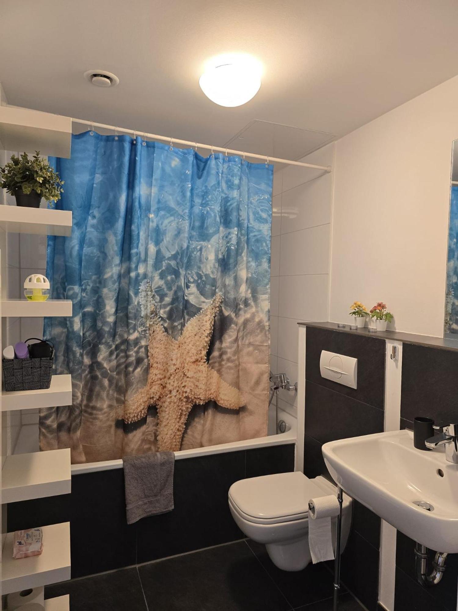 Apartment Ferienwohnung Koeln Cologne