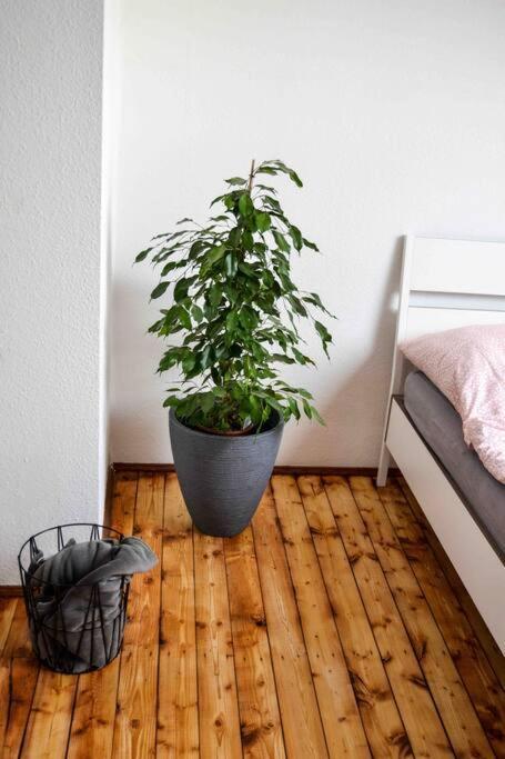 Apartment Schoene Dachgeschosswohnung Nahe *