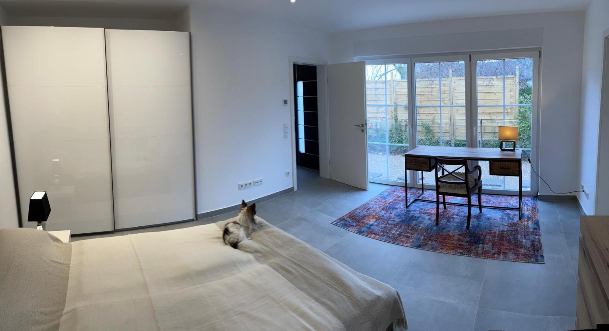 Apartment Smart Dog