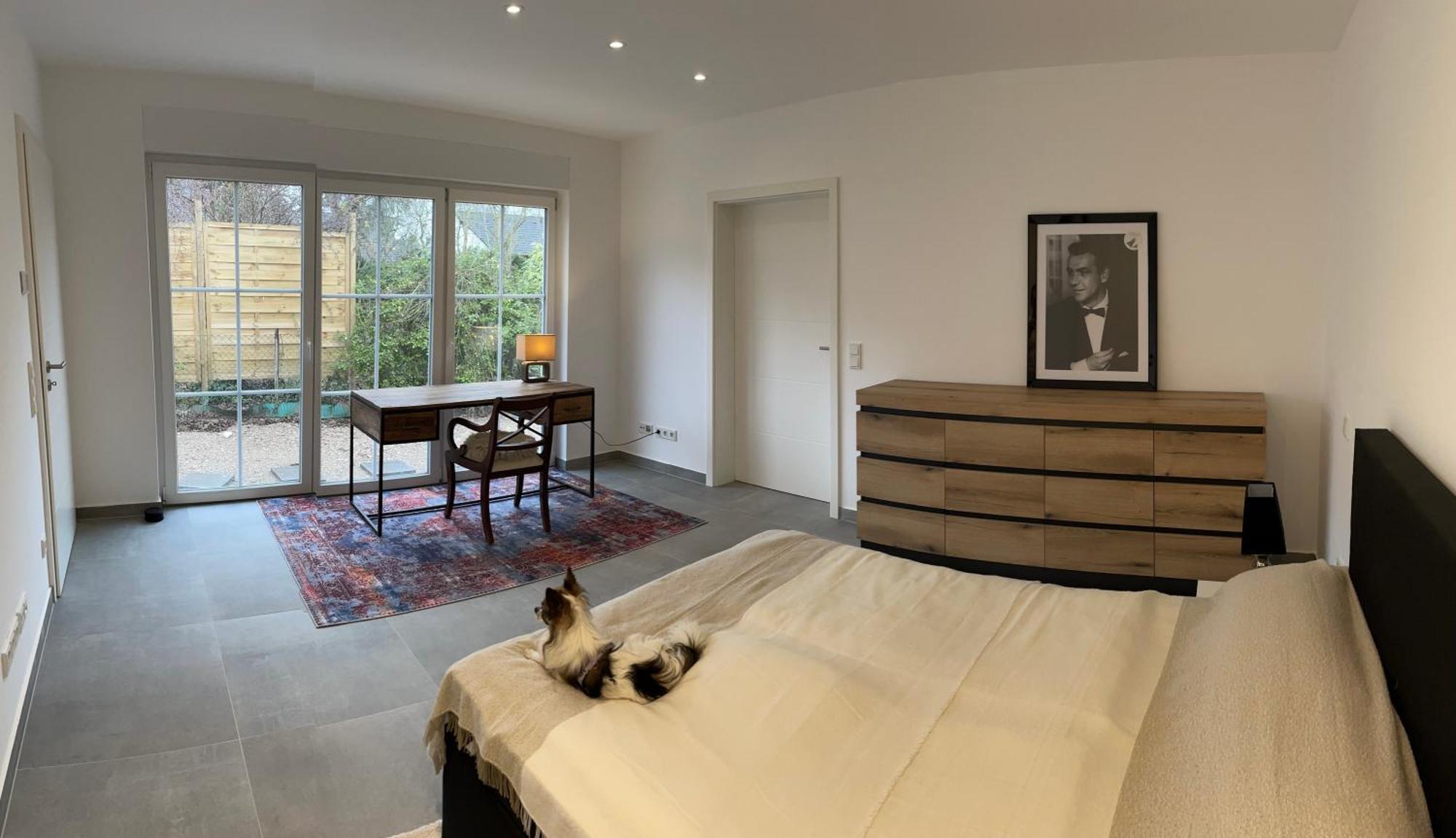Apartment Smart Dog *