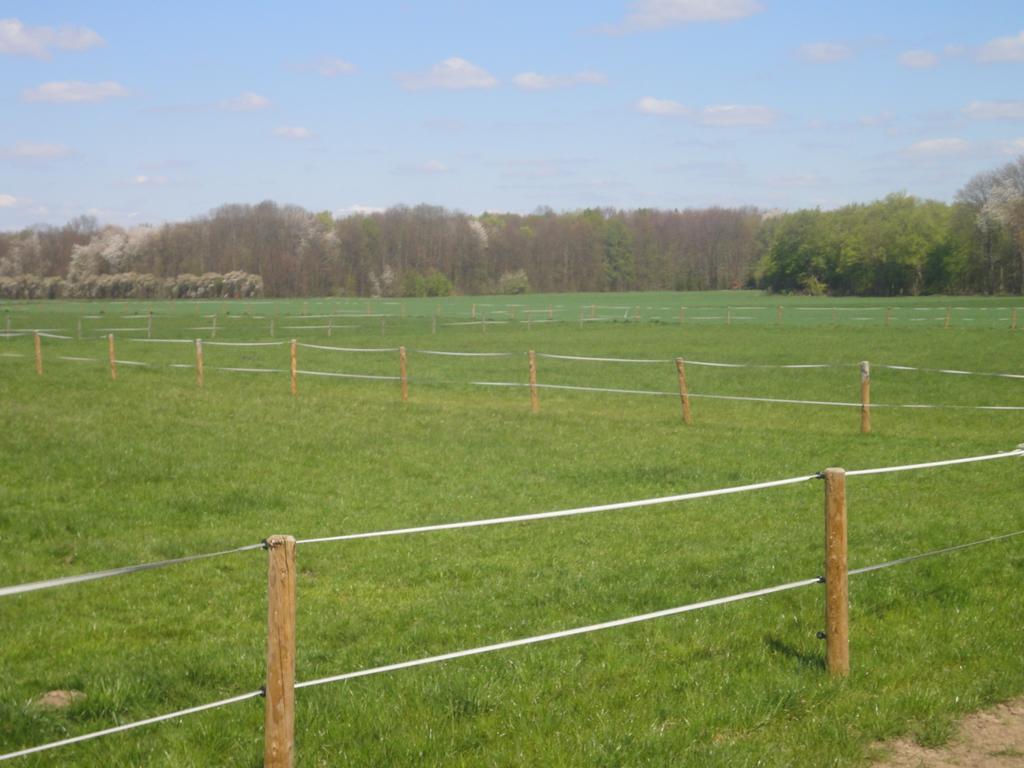 Country