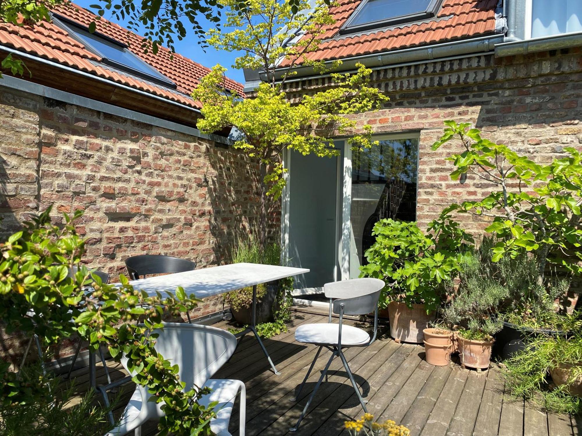 Zehuus Mit Domblick Und Dachterrasse *