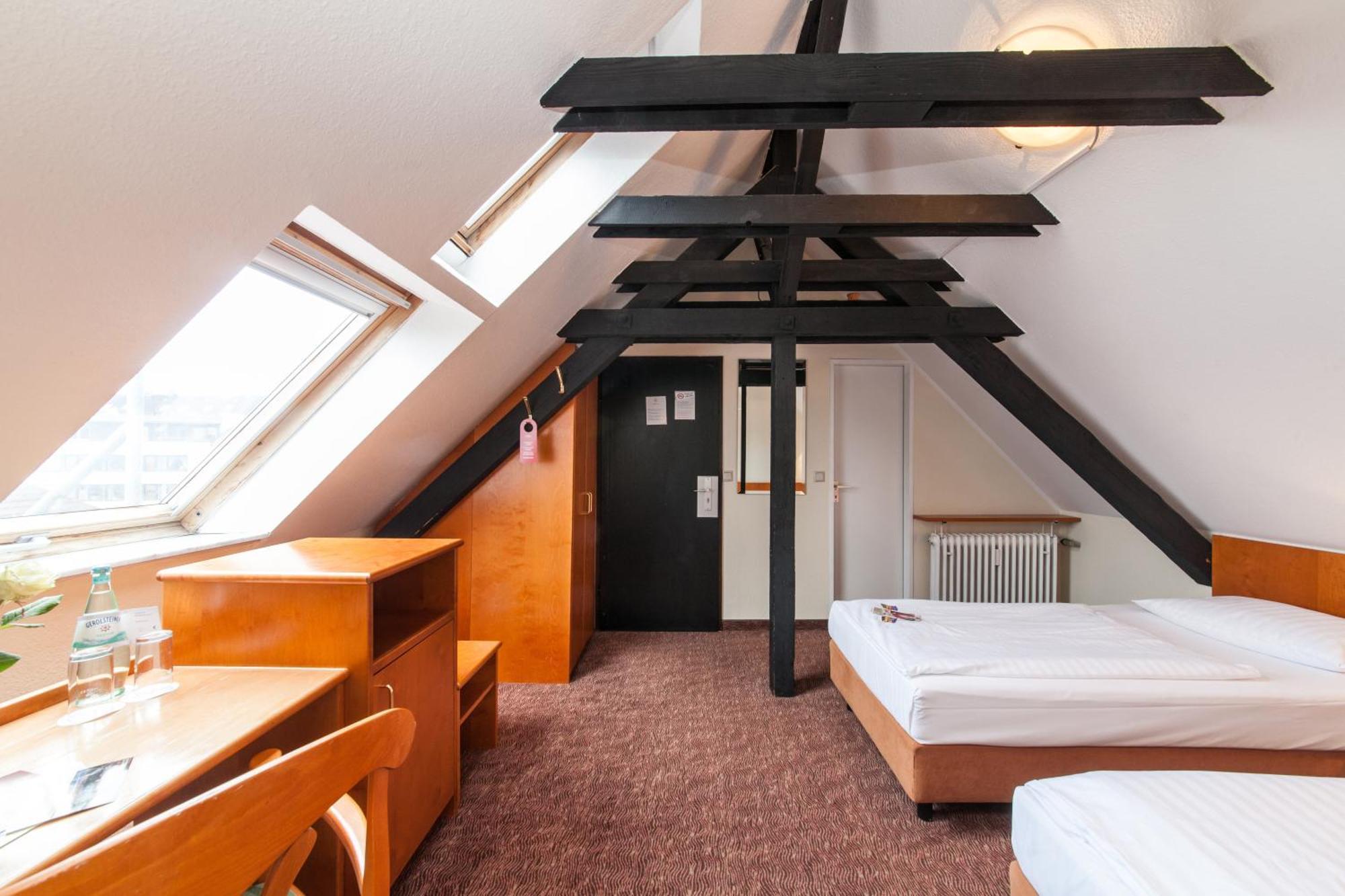 Novum Ahl Meerkatzen Altstadt Köln