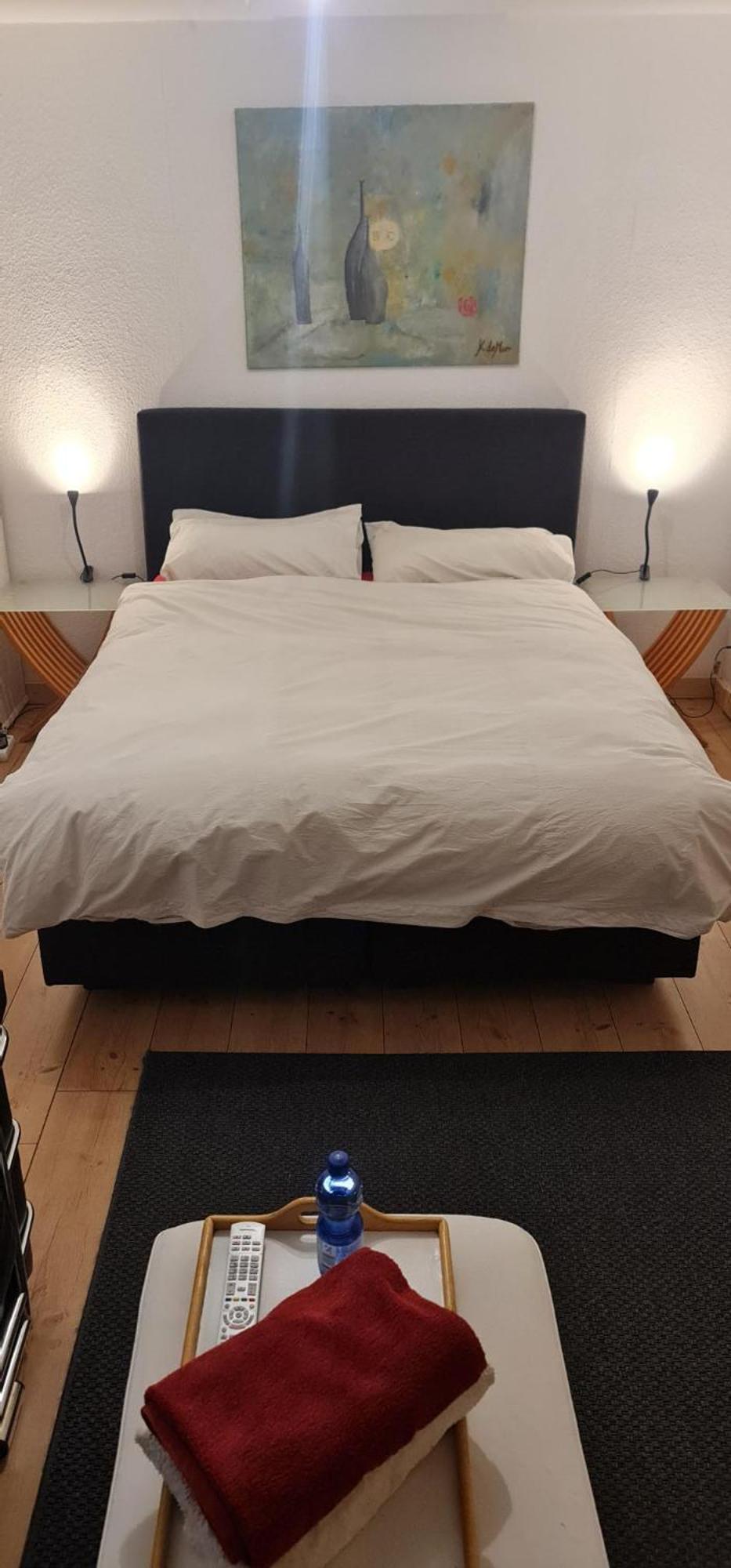 Schoenste Lage Am Rhein In Unmittelbarer Stadtnaehe, Bed & Breakfast