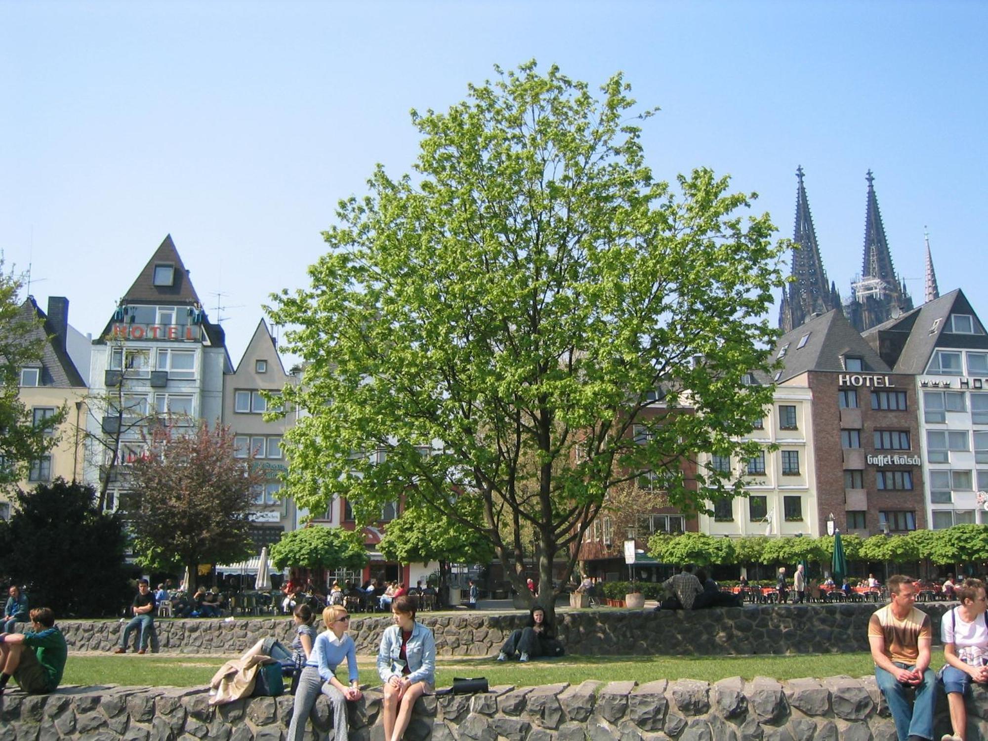 Hotel Romerhafen 3*