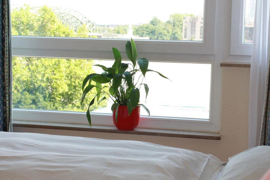 Hotel Romerhafen 3*