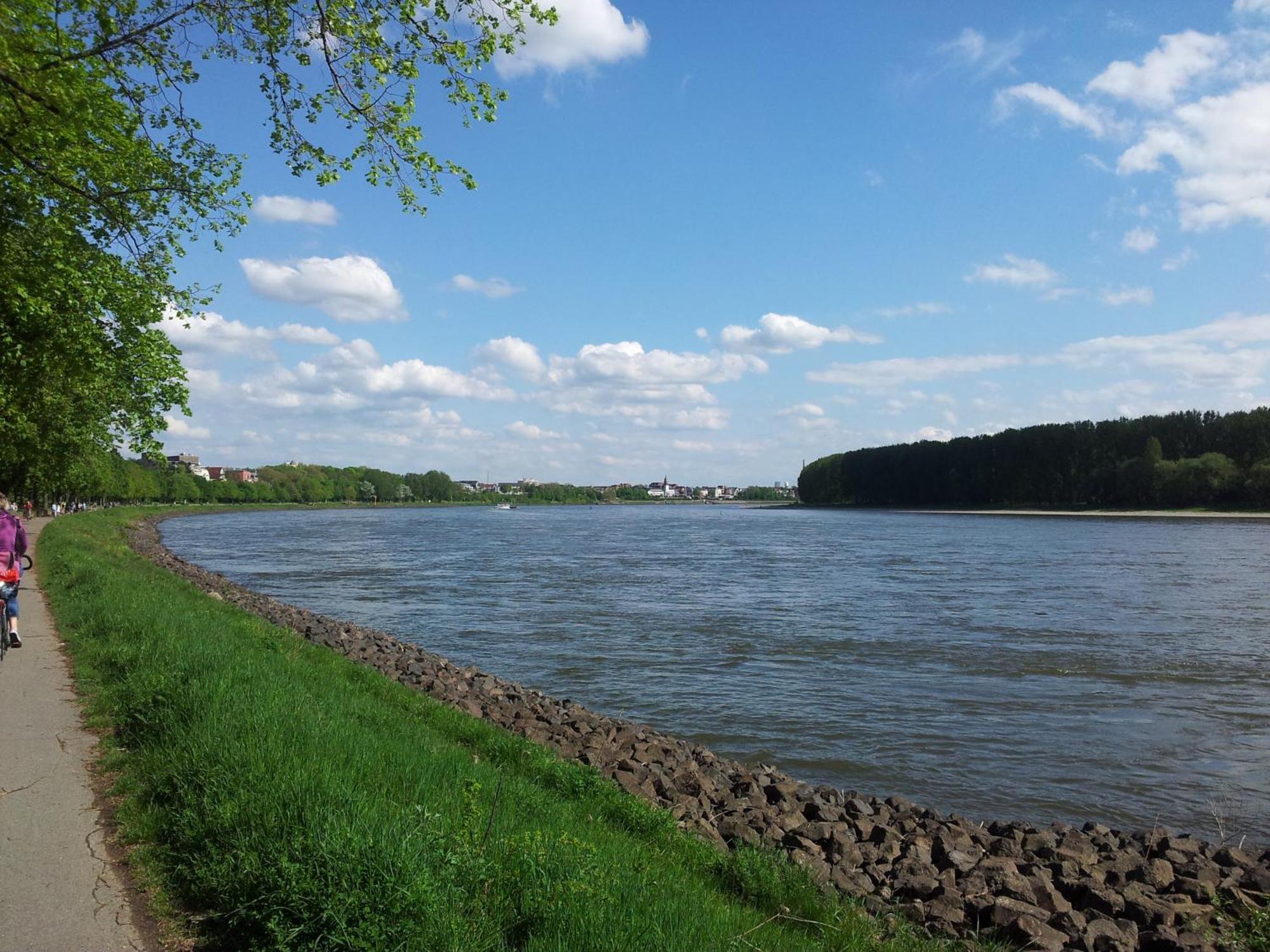 Acomodação com café da manhã  Stayincologne Colónia