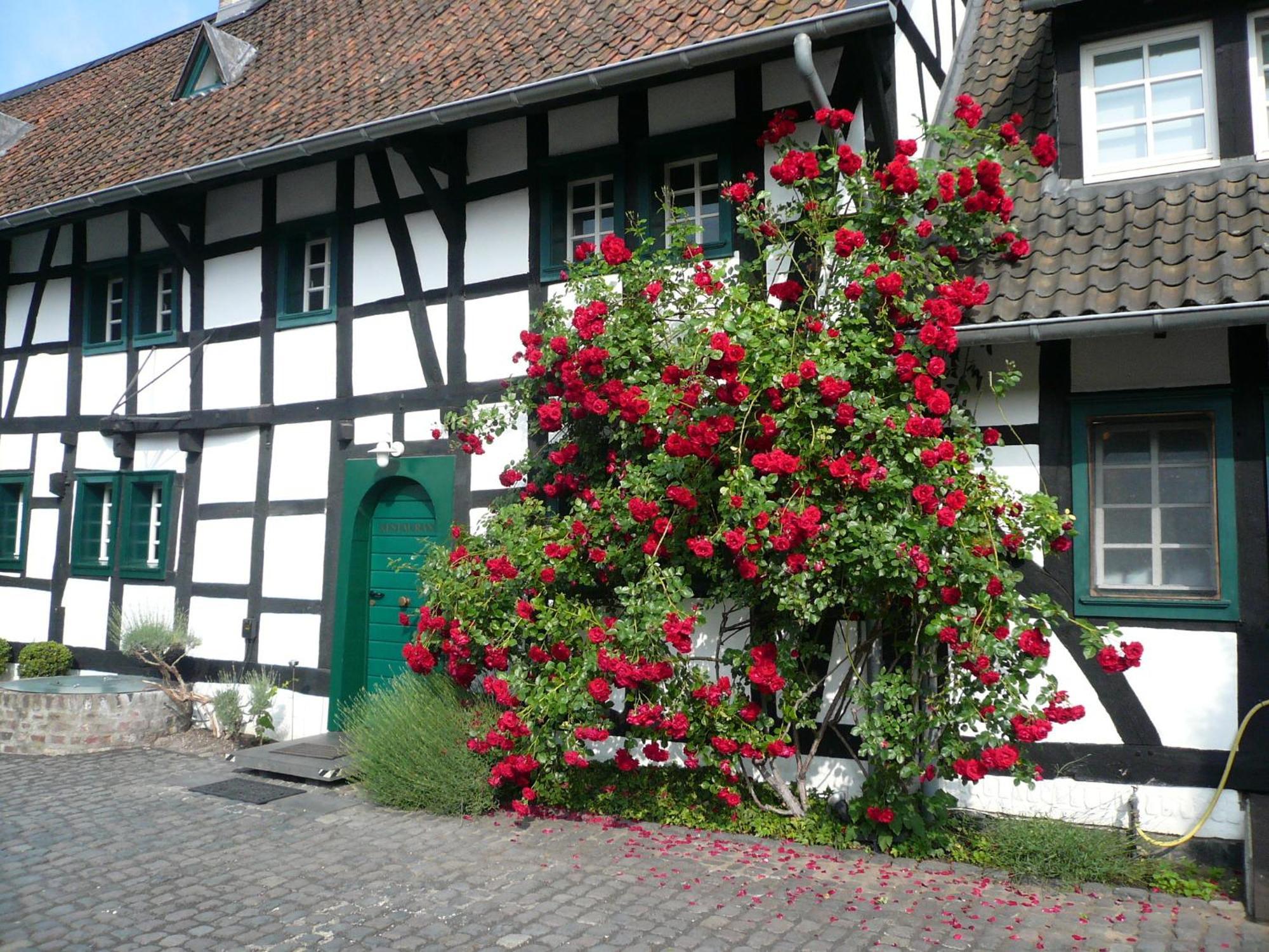 Hotel Falderhof Kolonia