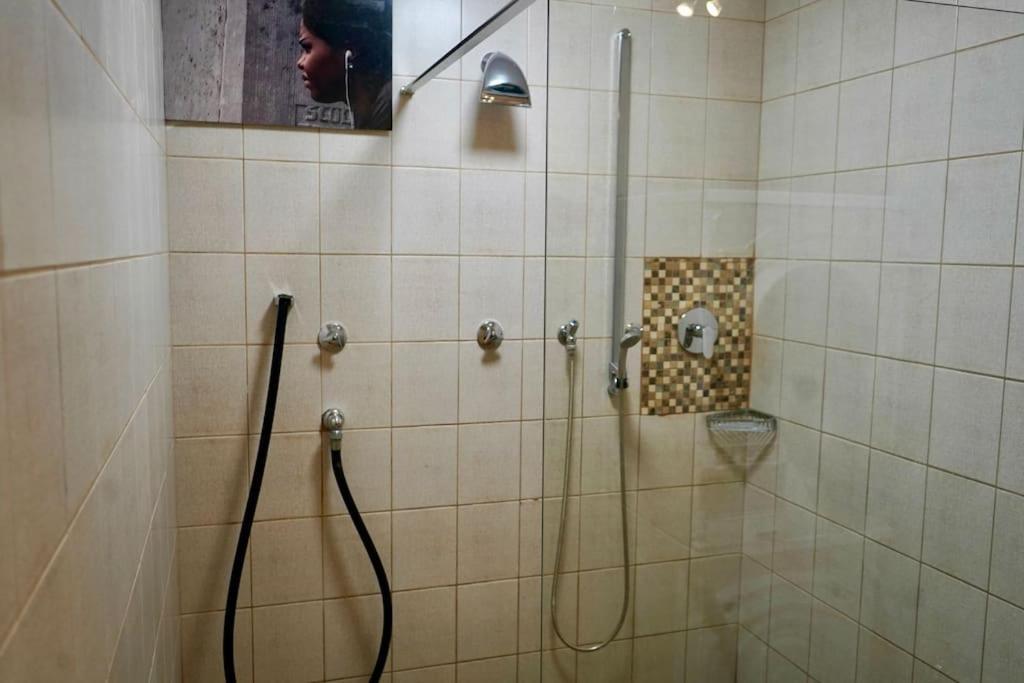 Helle Kellerwohnung Im Gruenen Mit Sauna Apartment Cologne