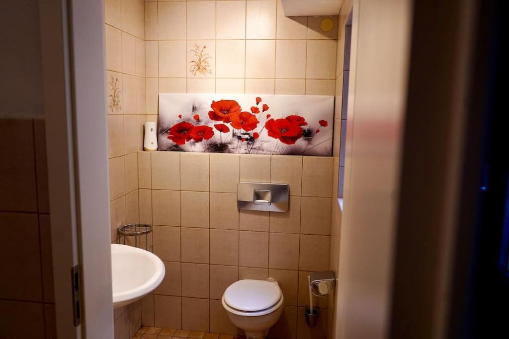 Helle Kellerwohnung Im Gruenen Mit Sauna