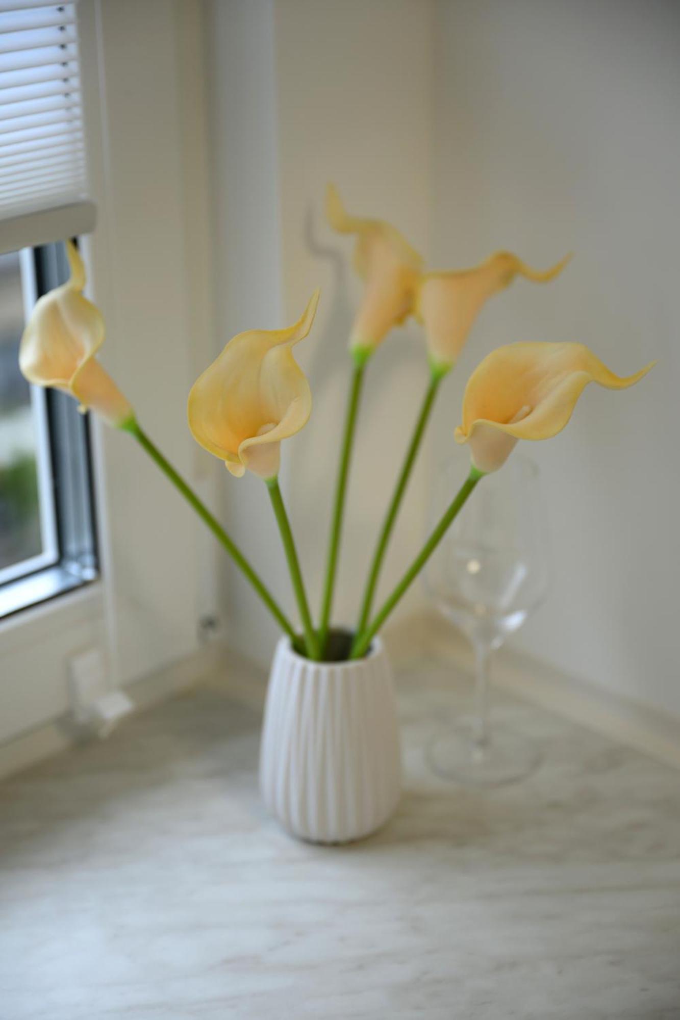 Apartamento In Koeln-messe *