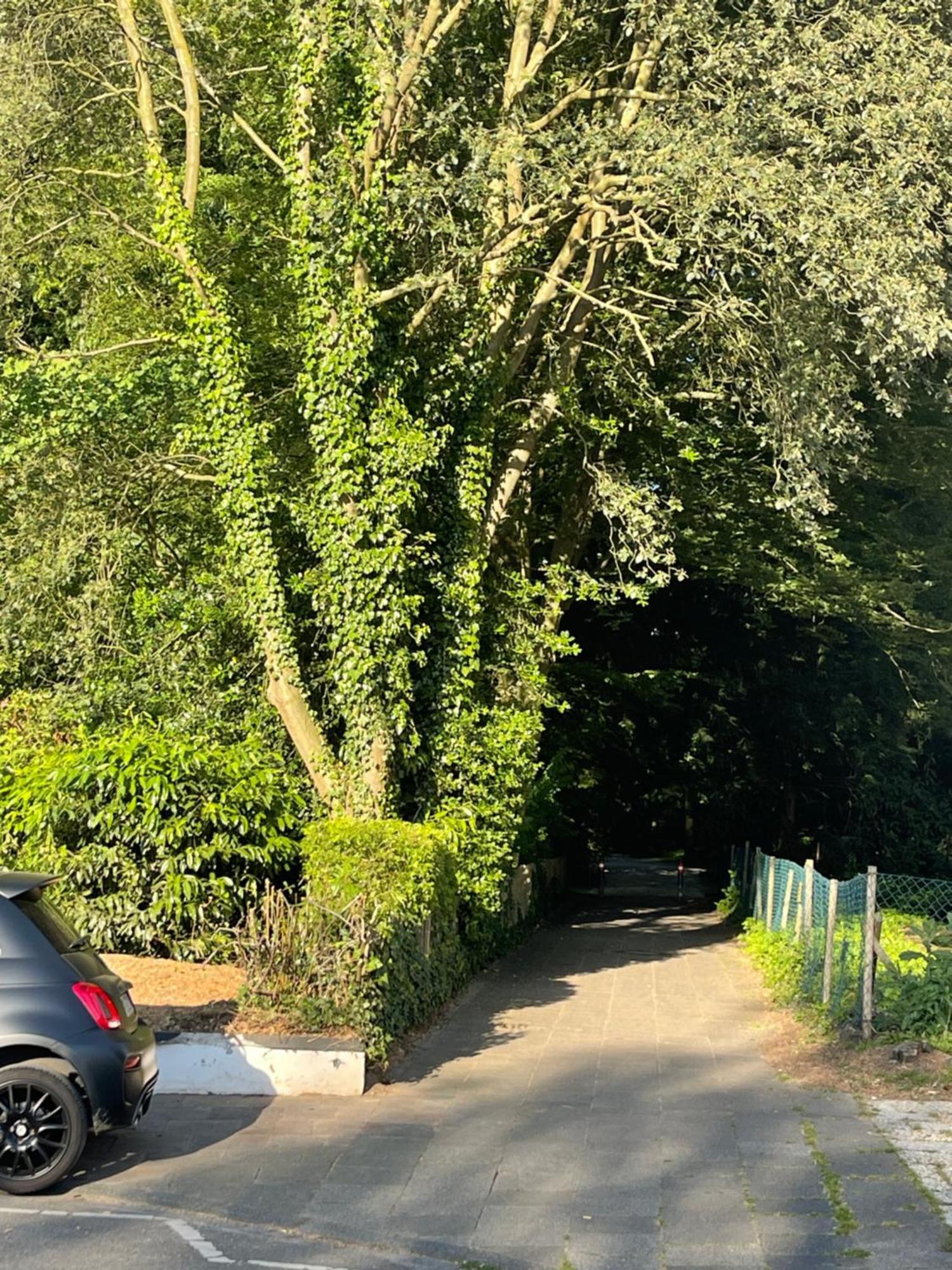 Apartment Zum Em Stadion Zu Fuss - Luxus Im Gruenen Cologne