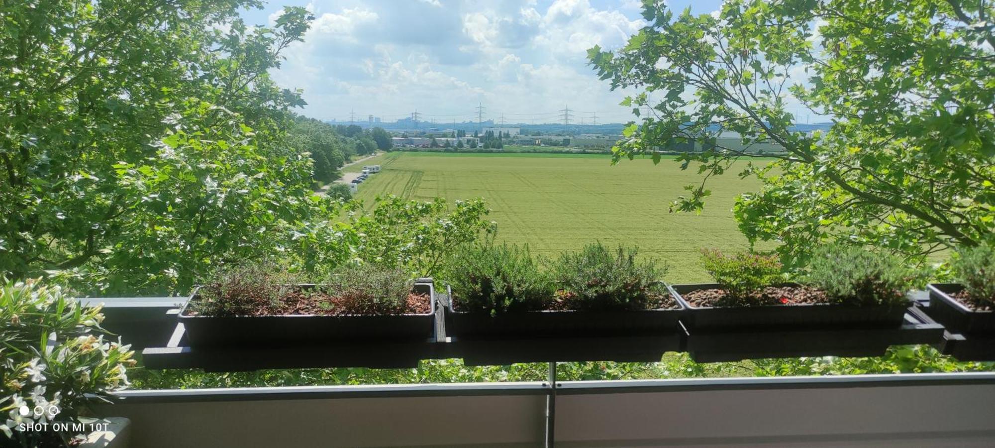 Accommodatie bij particulieren Cozy With Great Shopping And Public Transportation *