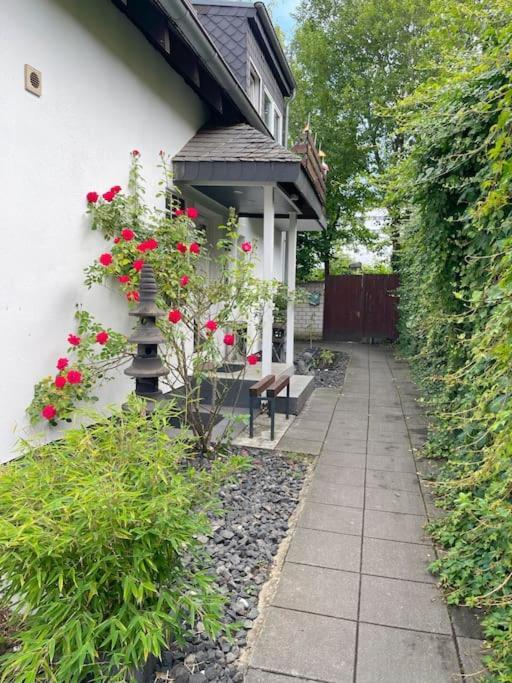 Cozy Studio In Neusser Street Cologne