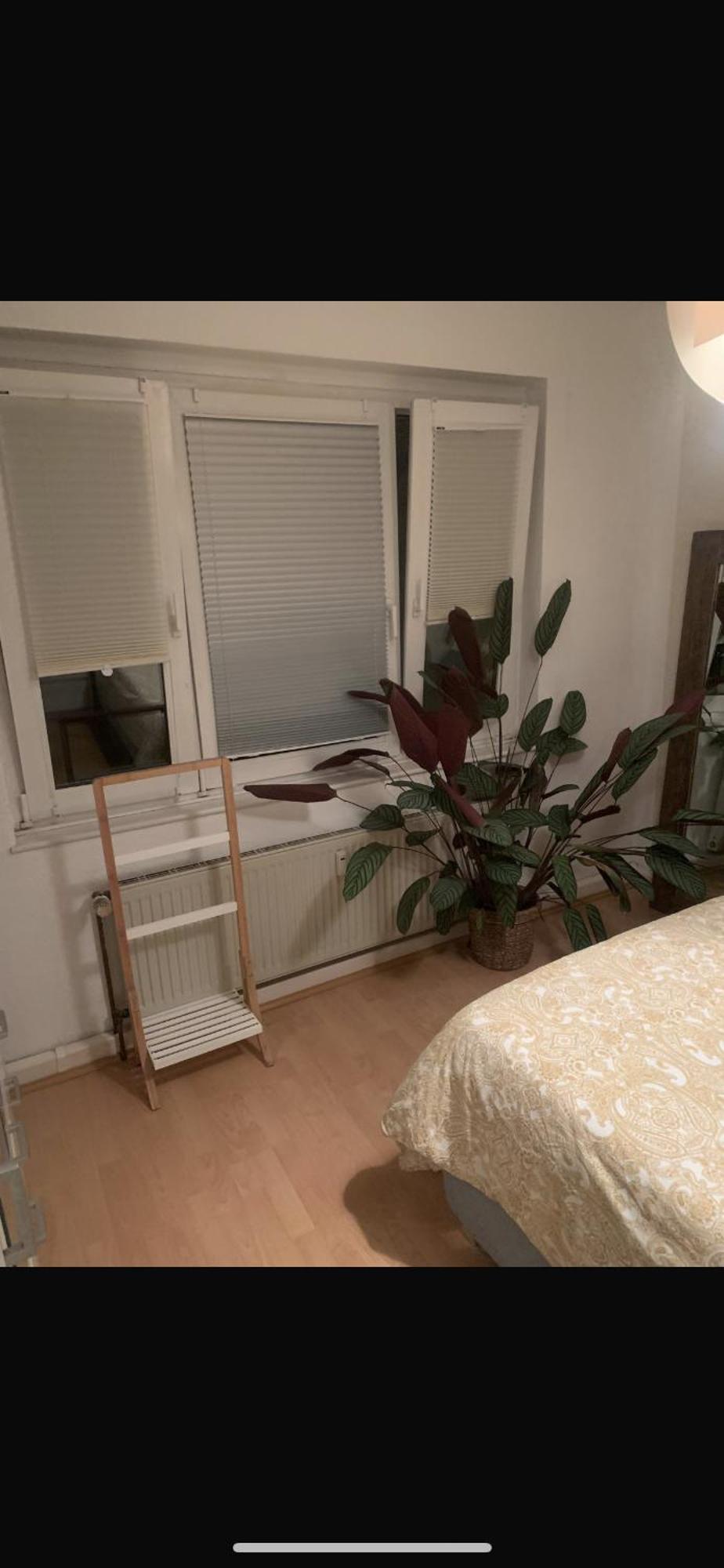 Kleine Gemuetliche Wohnung, Direkt Neben Messe Und Lanxess Arena * Kolonia