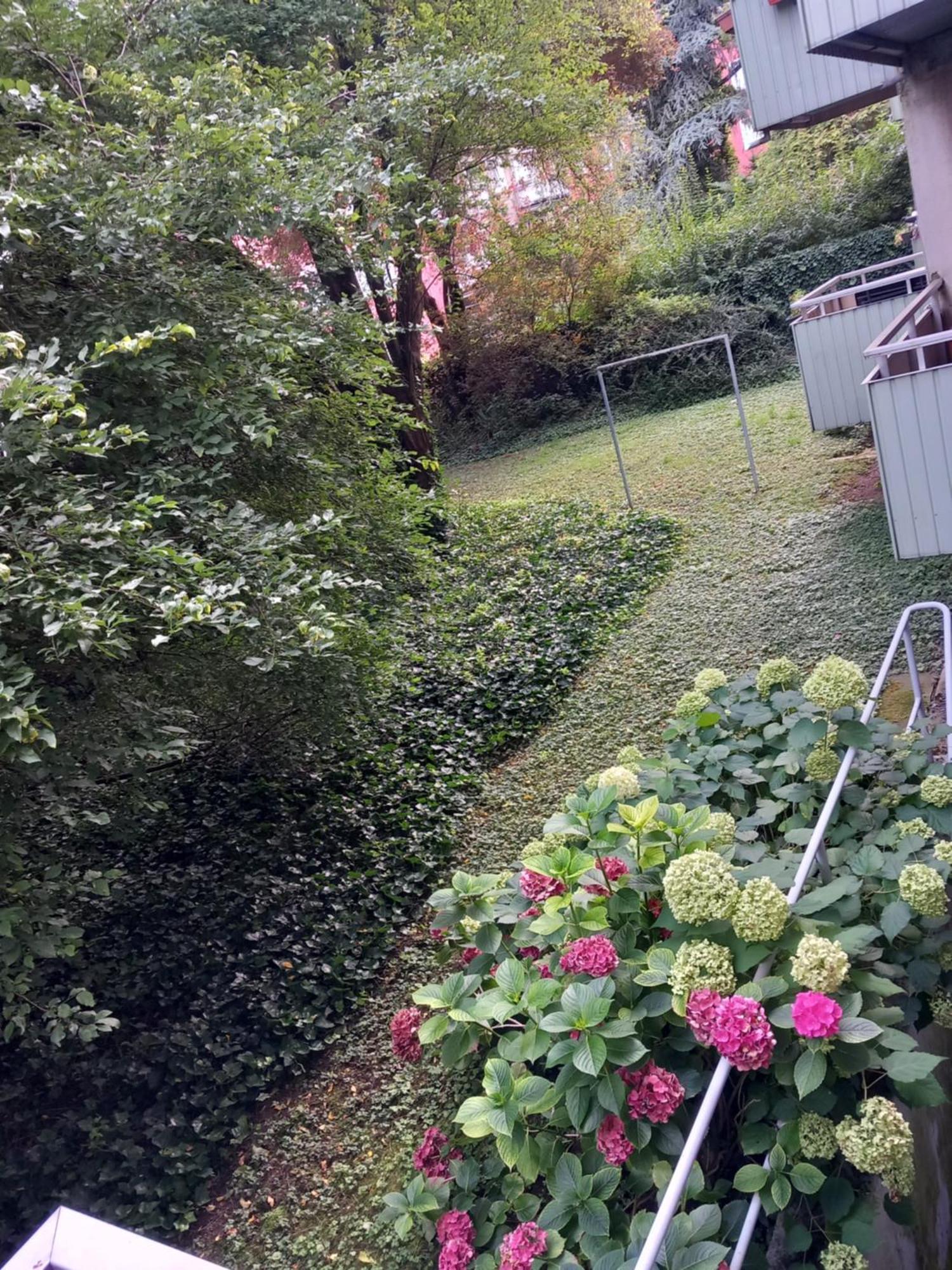 Top 200 Meter Zum Rheinauhafen Homestay *