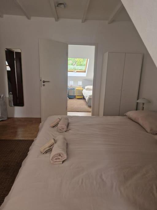 Duplex With Patio Near Exhibition Messe Apartment Köln