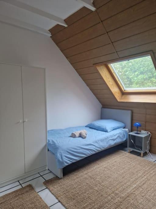 Duplex With Patio Near Exhibition Messe Apartment Köln