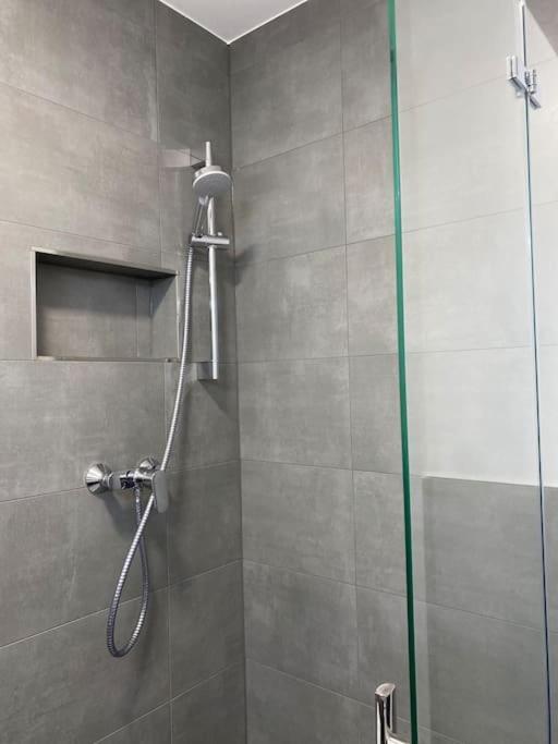 1 Apartament Kolonia
