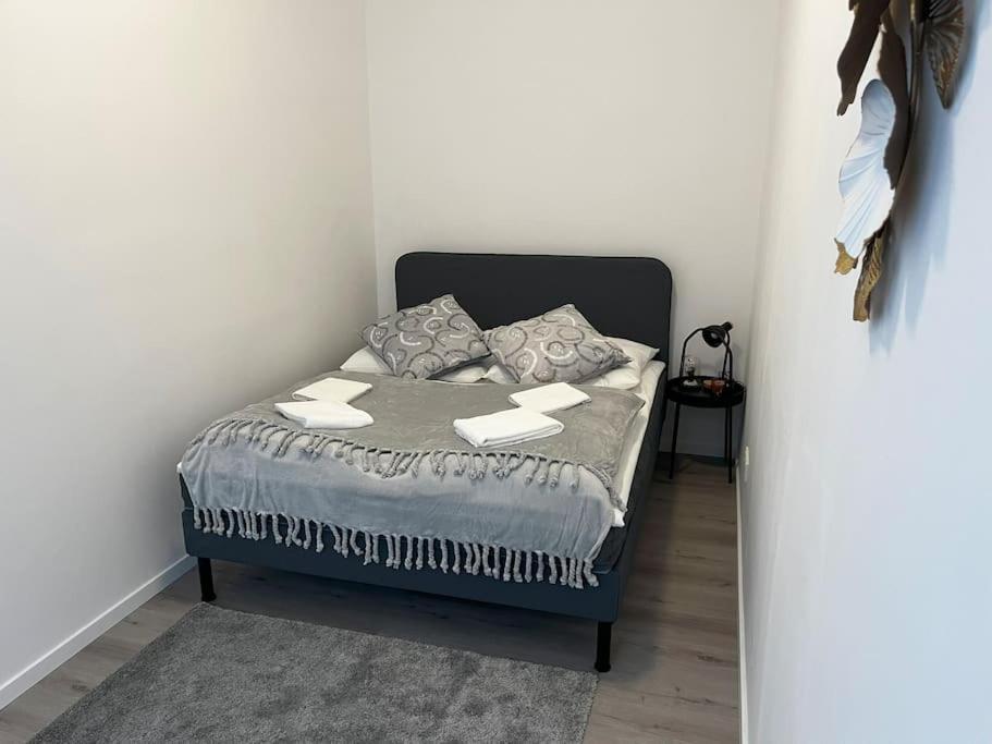 Apartamento On The Rhine, *