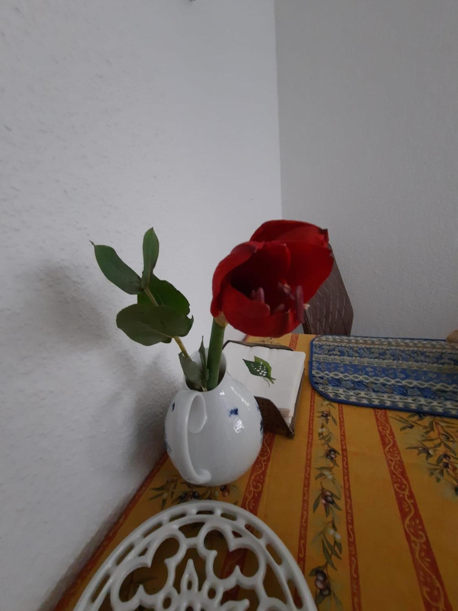 Gemuetliches Nest In Bester Koelner City-wohnlage * Colonia