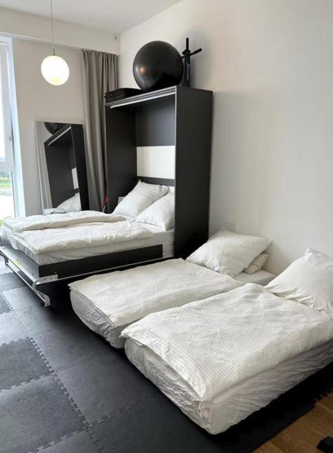 Apartament Rheinblick Penthouse