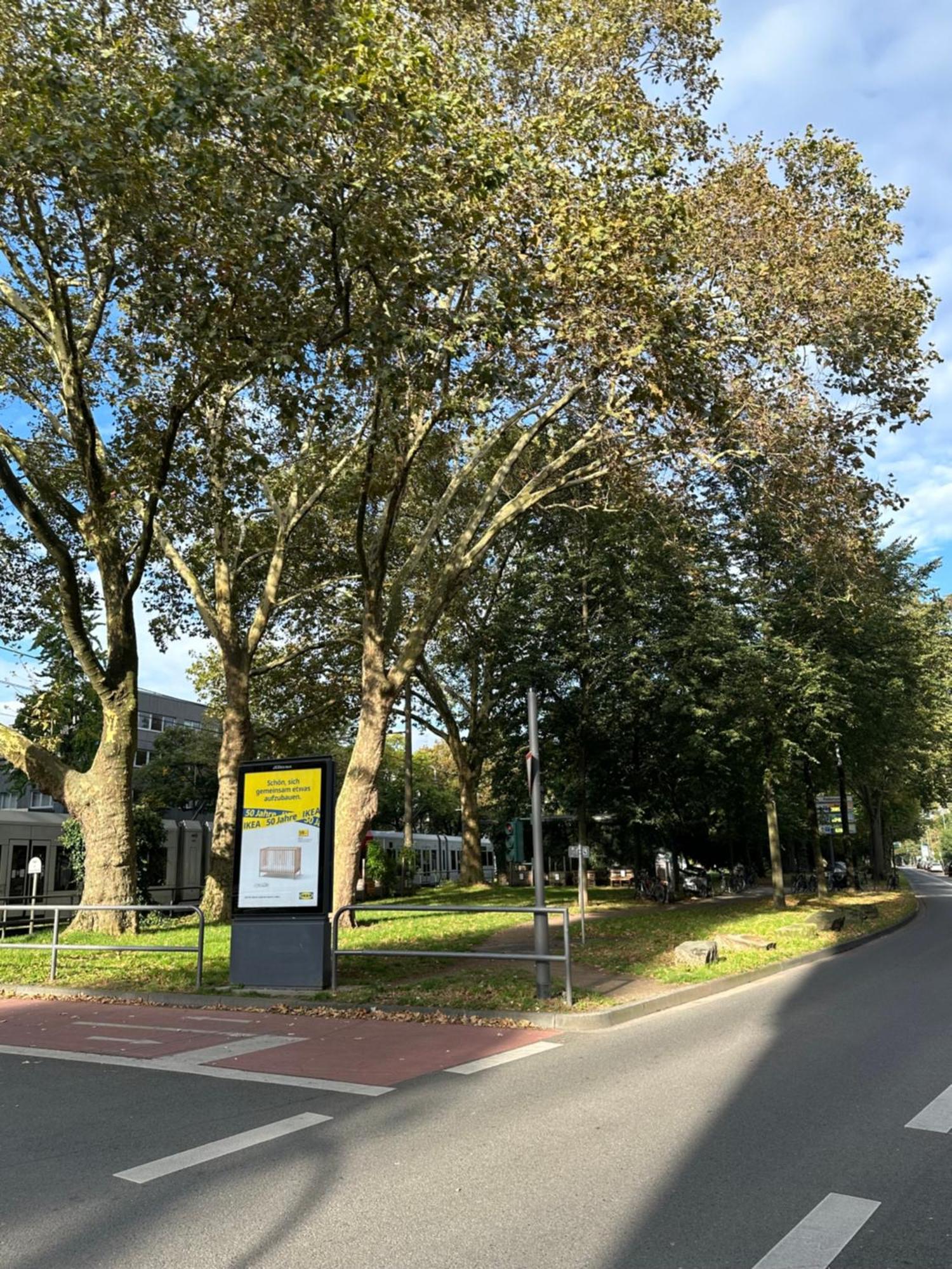 Schicke Wohnung, Innenstadt, Beliebtes Viertel * Keulen