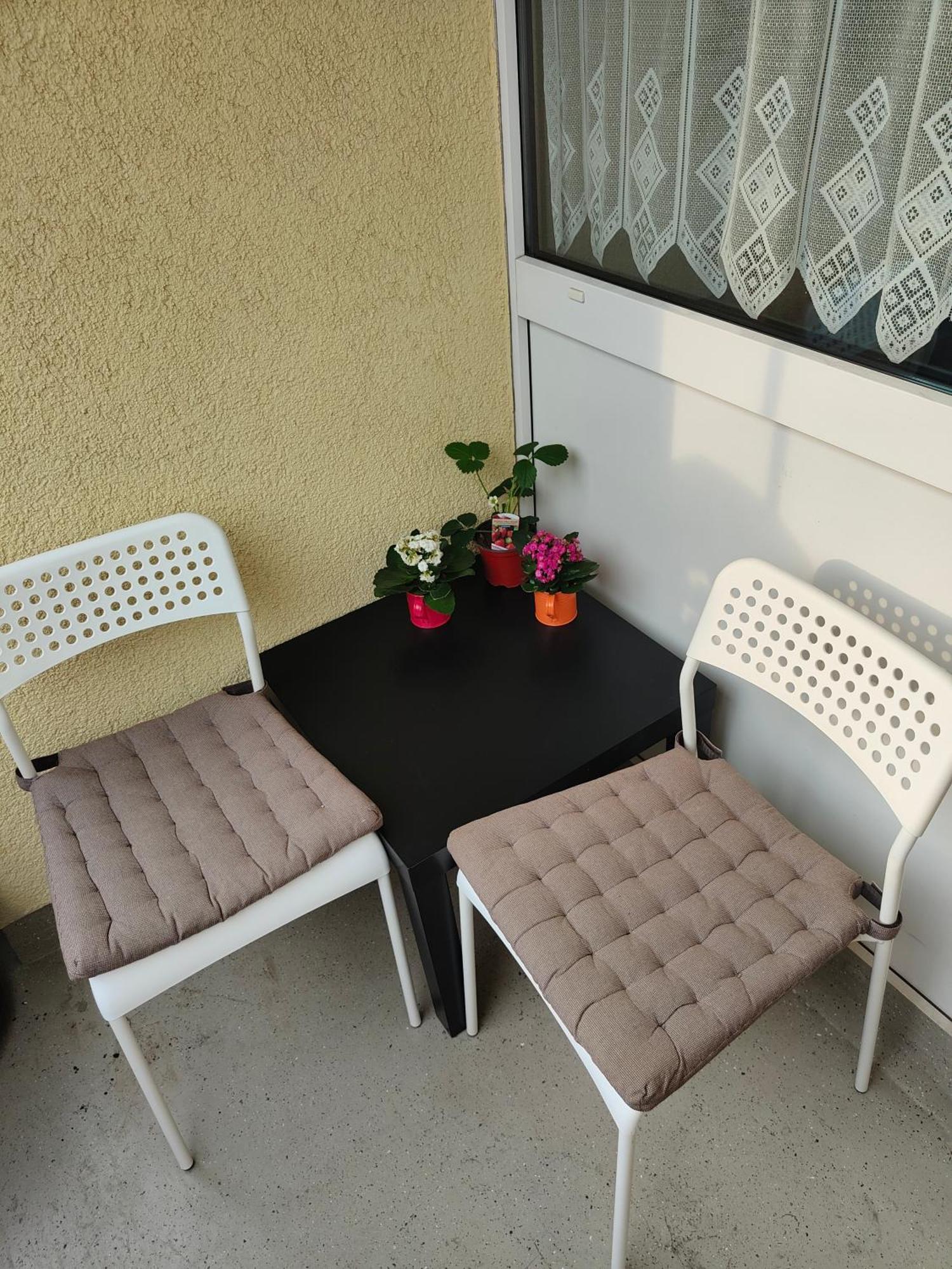 Bequeme Wg-schlafcouch Fuer 2 In Rheinnaehe Apartamento