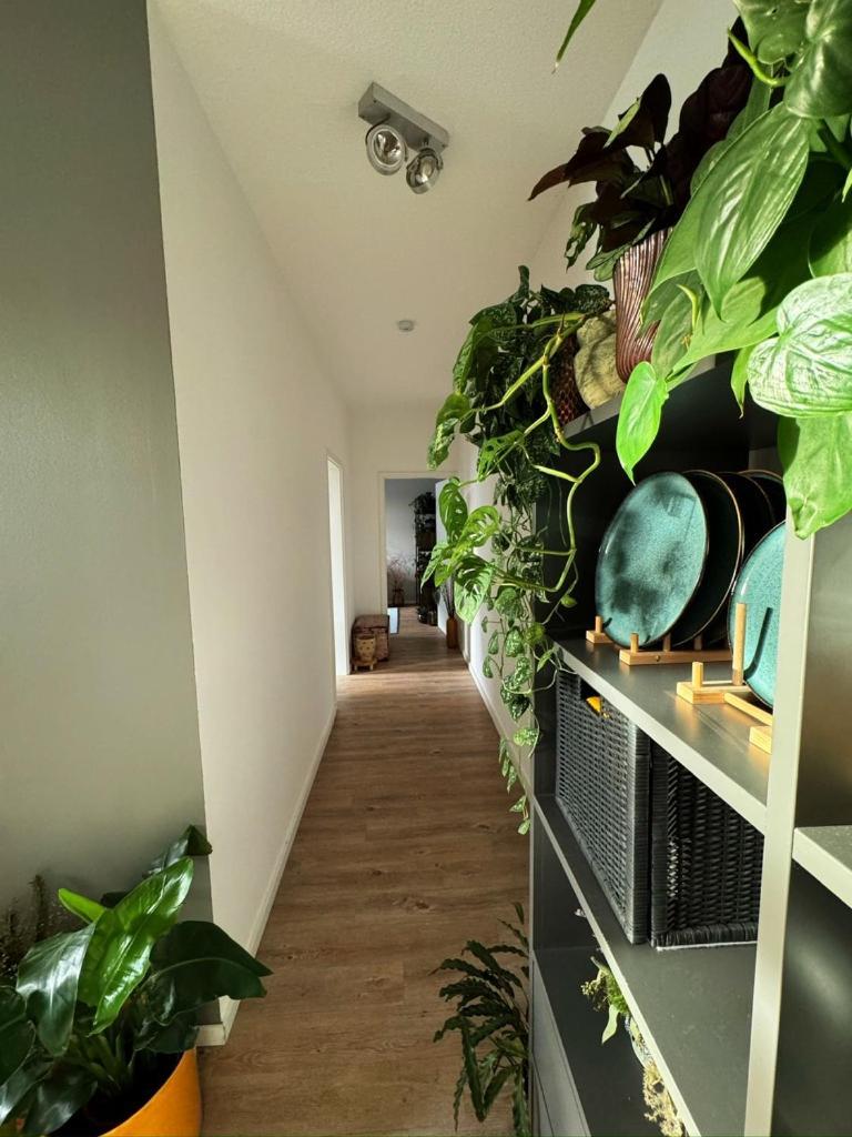 Gemuetliche Schlafcouch Im Hellen Wohnzimmer Zum Kurzaufenthalt Accommodatie bij particulieren Keulen