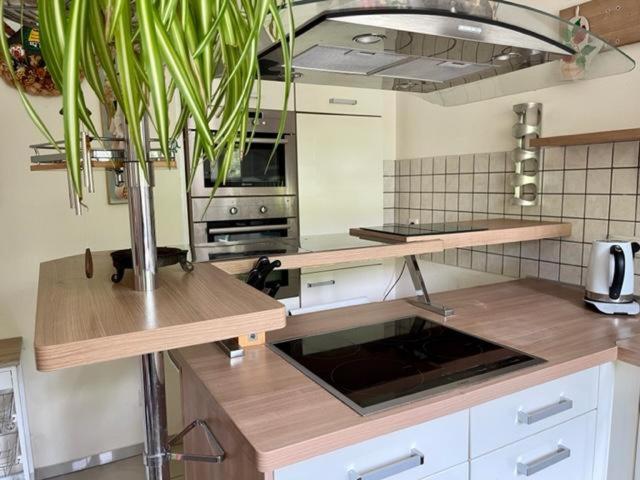 Haus In Ossendorf Dom wakacyjny Kolonia