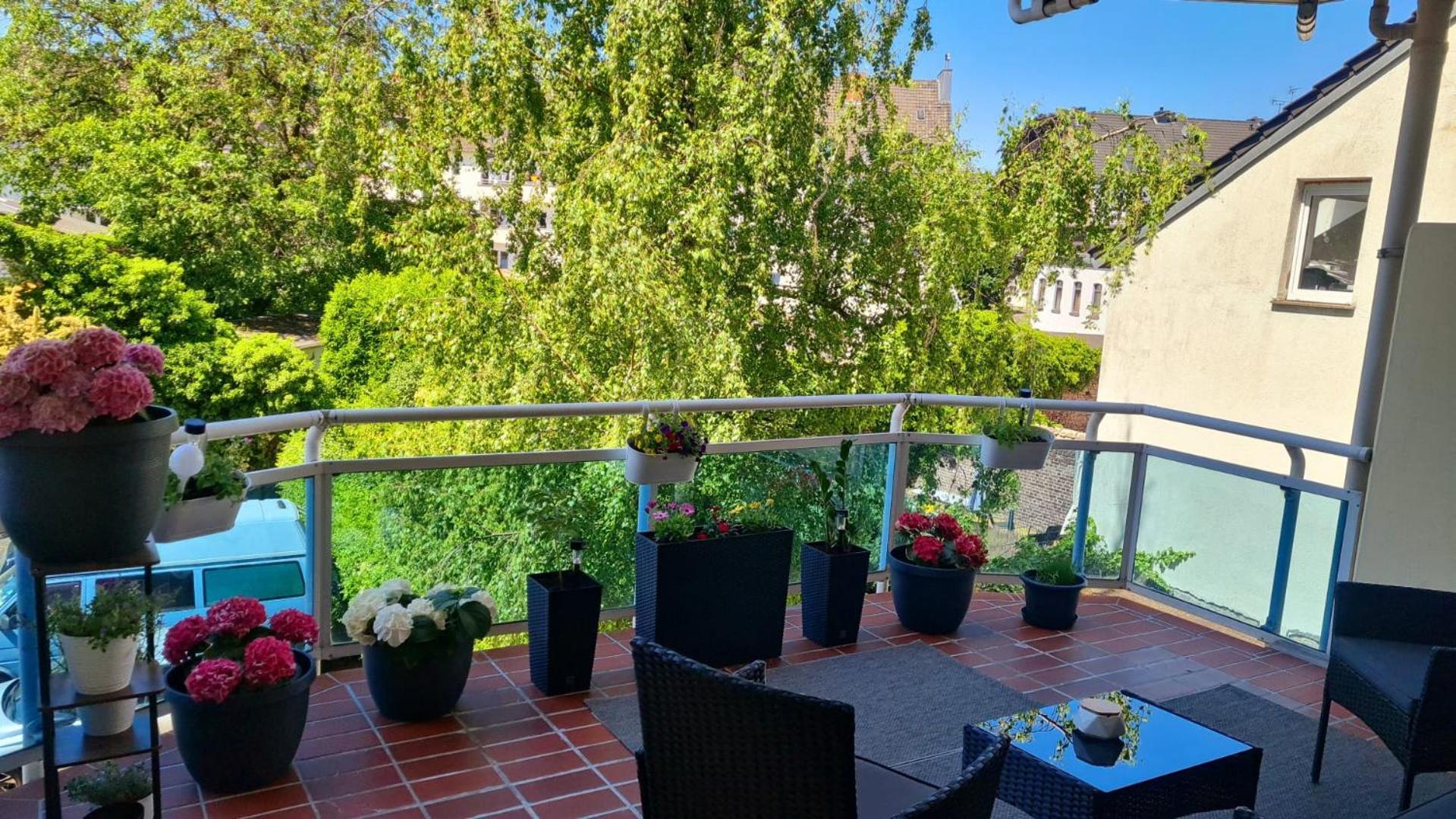 Casanova Apartment