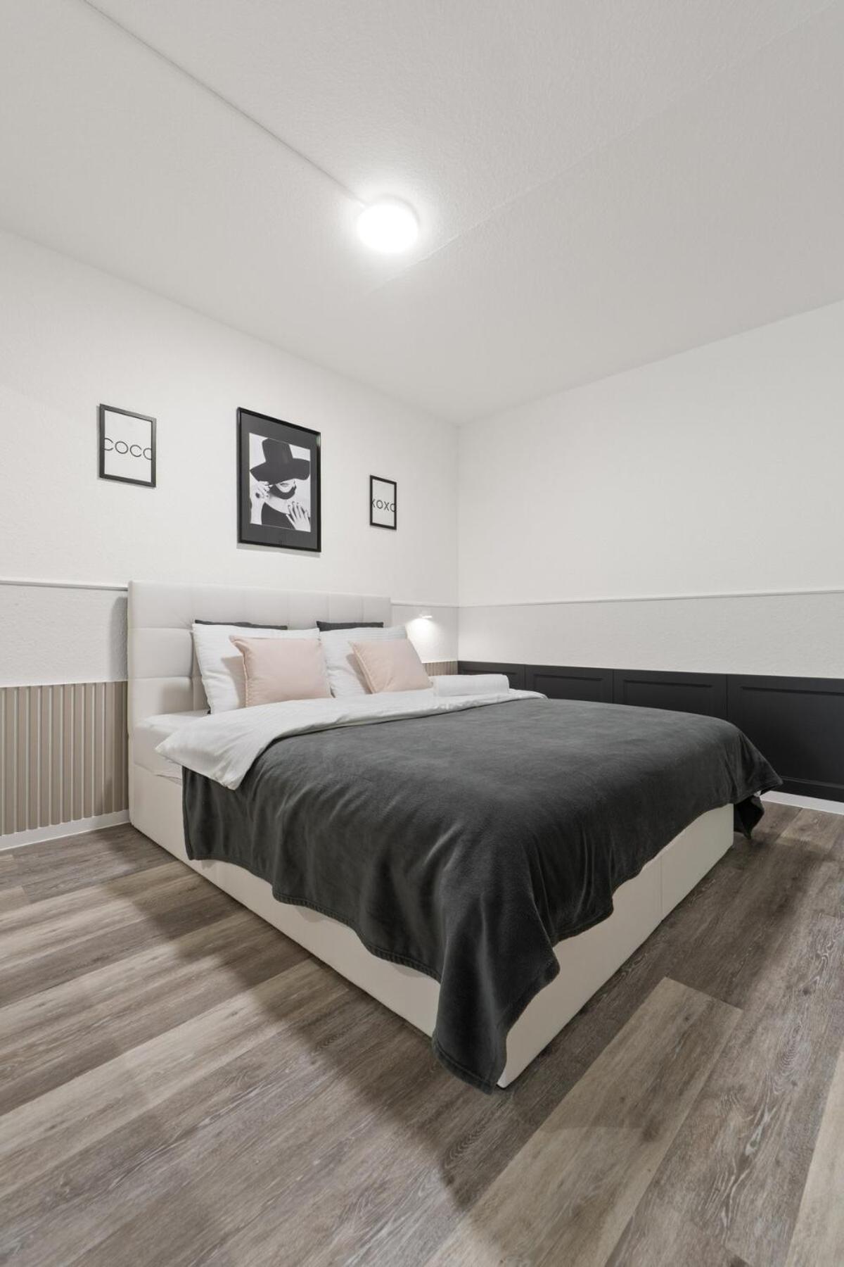 Cozy Premium With Free Parking! New! * Cologne