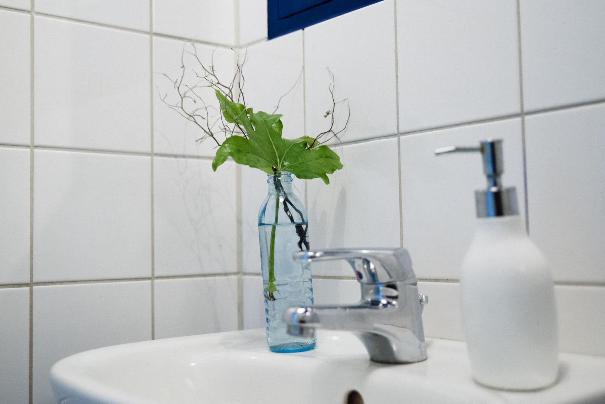 Zwei In Atelierwohnung Habitación en casa particular