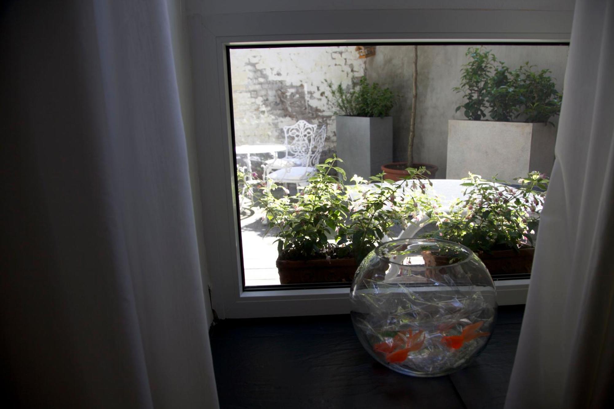 Apartamento Miro Colonia