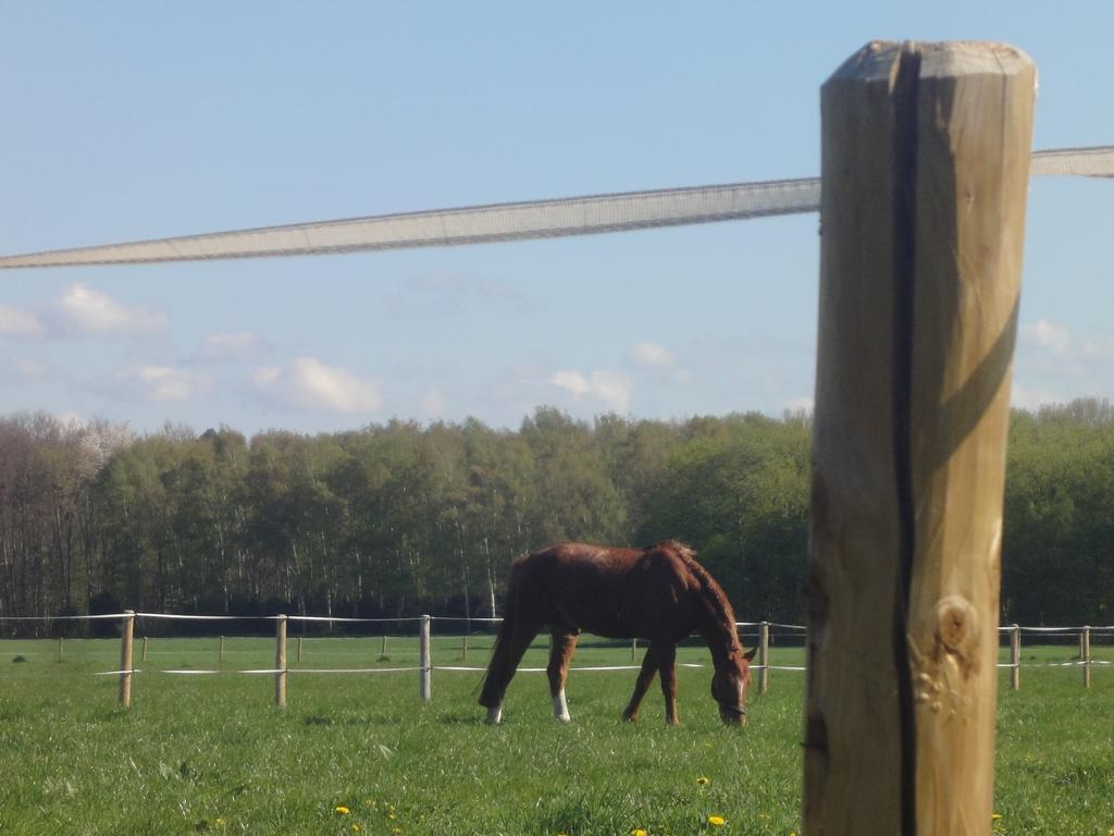 Country