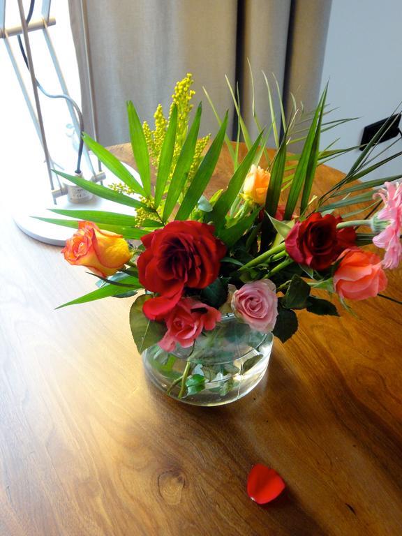 Appartement Country Cologne