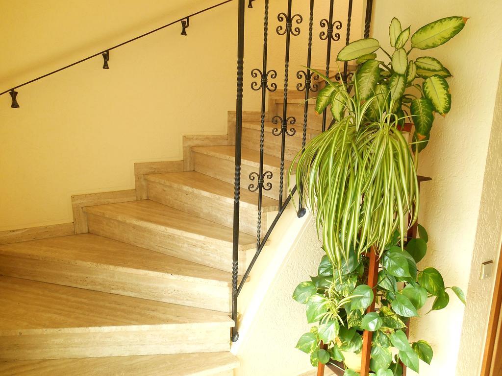 Cologne Homestay Kwatera prywatna *