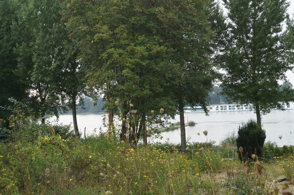 Holiday home Hof Am Rhein