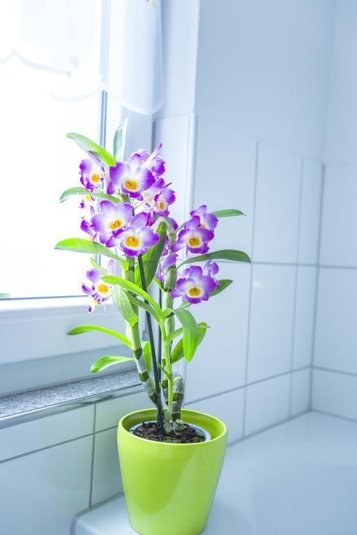 Wohnen Auf Zeit Apartamento Colónia