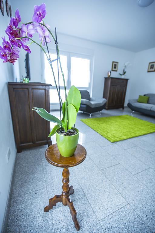 Apartamento Wohnen Auf Zeit