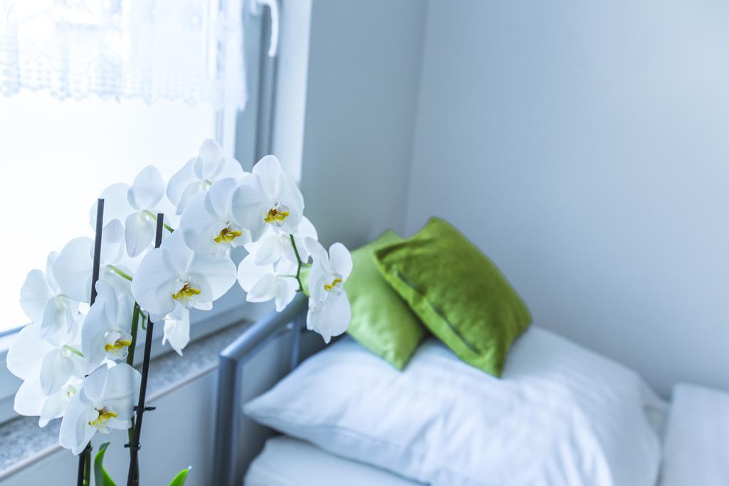 Wohnen Auf Zeit Apartamento