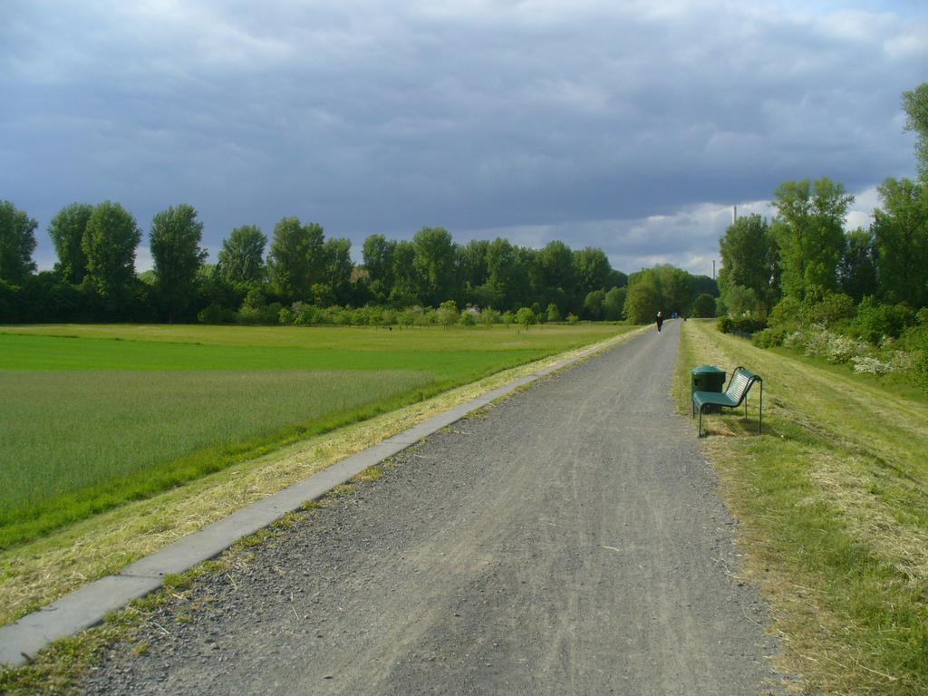 Rheinaue *