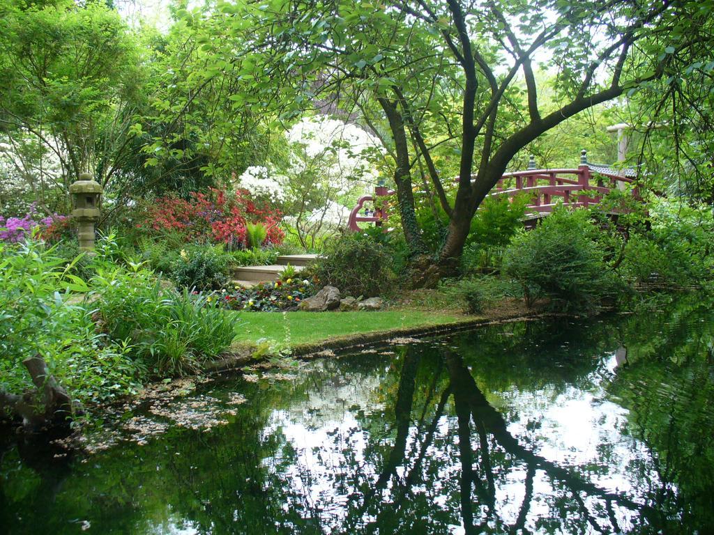 Rheinaue *