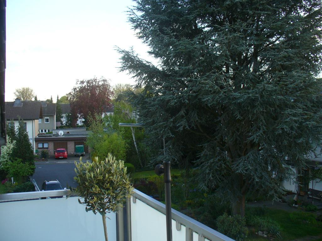 Apartment Rheinaue