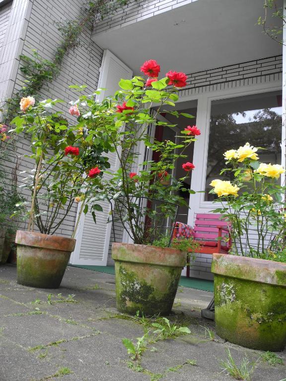 In Apartment Cologne