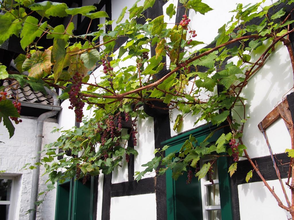 Falderhof